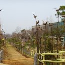 배다골민속박물관 이미지