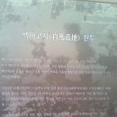 955포병