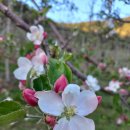 박경자농장 이미지