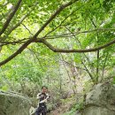 진원농장 이미지