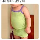준초이짐 | 득근 득근 오랜만의 시합장 냄새