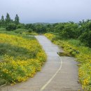 대산체육공원 이미지