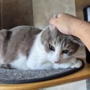 모두의 집사 | 파이피를 향한 어느 집사의 미친 집념•••(2025 포투포 후기)