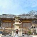 예당정육점식당 | 충남 예산 가볼만한곳 BEST 총정리 (예당호·수덕사·시장까지)