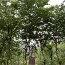 대영힐스CC 이미지