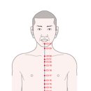 내몸해독센터 이미지