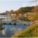 황청낚시터 이미지