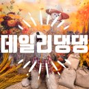 데일리 댕댕 이미지