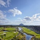 테디밸리CC 이미지