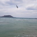 백세문 네이버블로그