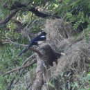 문현약수터 이미지