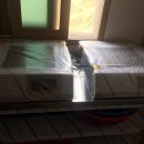 광일고시원