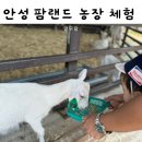 서부농장 | 경기도 아이랑 갈만한곳 안성팜랜드 할인 준비물