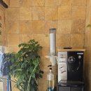 상아 동물메디컬 이미지