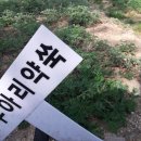 산애들애팜 - 중랑구 | 산애들애팜