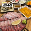 꼬독꼬독 | 원주 단계동 횟집 고래수산 방어 및 포장 솔직후기