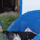 프리아트 이미지