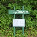 노암반점 | 강원도 맛기행 [교동짬뽕], [현대장칼국수] 1일 1면치기 / 대관령 양떼 목장 / 휘닉스 포레스트 캠프 후기