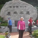 내고향산장 이미지