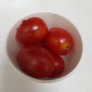 세진농원 이미지