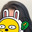 트리트멍트 이미지