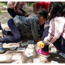 회남초교 병설유치원 이미지