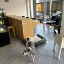 퍼피베이크 이미지