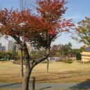 이지현내과의원 이미지