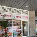건강한 빵이 1000원 건강도 챙기고 가격까지 좋은 신상 빵집 '빵집 오빠 아산 탕정점' 내돈내산 방문후기