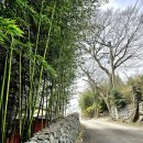 살구나무집민박 이미지