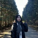 창남목장 이미지