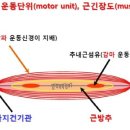 모터솔루션