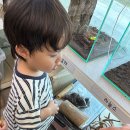 곤충연구소 실내 이미지