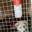 다루농장 이미지