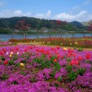 요산마을 이미지