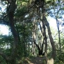 비학산 누리길 이미지