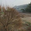 서하로106번길 이미지