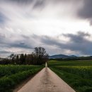 전국행정사 이미지