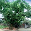 우석초등학교 이미지