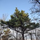 항동근린공원 - 2450 | 항동근린공원