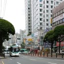 수원 빈센트 약국 이미지