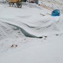 하은농장 이미지