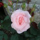 갈전농장 이미지