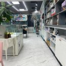 리얼독스 강아지분양 일산본점 이미지