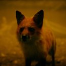 꿀떡꿀떡 이미지