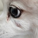 오류동물병원 이미지