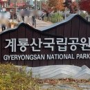 수통골본가 이미지