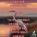 "전우가 좋아"---(927) (인생 이야기)---(424) (2026/8월 이금회 모임) &amp; (말복) 이미지