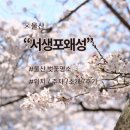 덕신해수욕장 | 서생포왜성 바다가 보이는 울산 벚꽃 명소 위치 주차 방문 후기