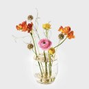 전통꽃꽂이꽃집 | 프리츠한센 이케바나 화병 스몰 | 29cm 구매 | 내돈내산 솔직후기 | 꽃꽂이